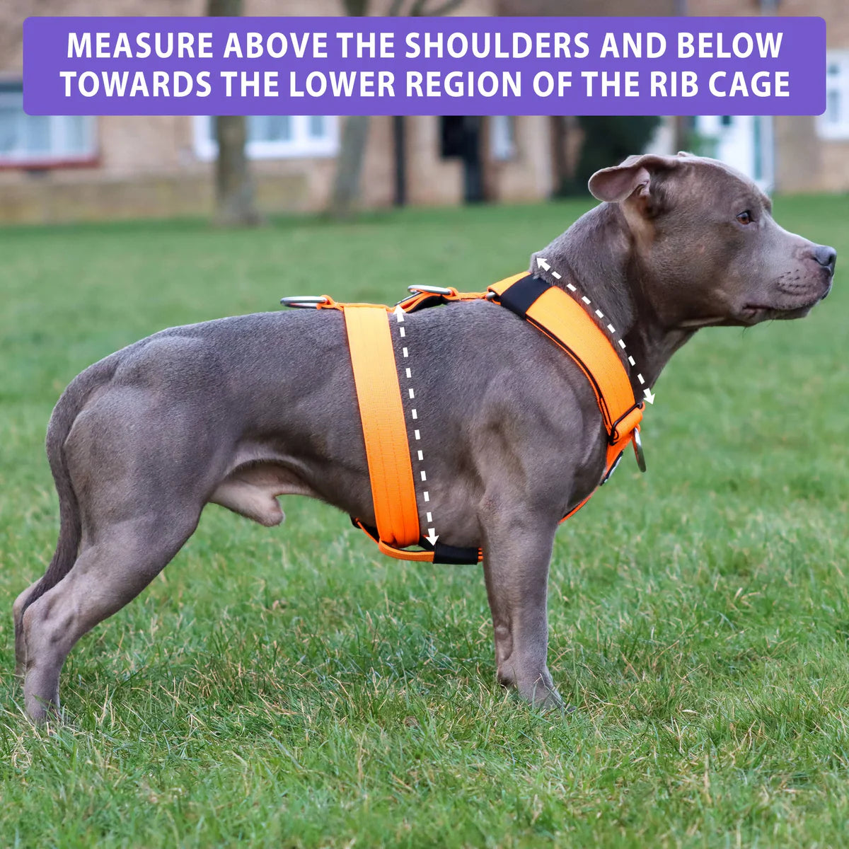 BullyBillows Tri-Harness Khaki