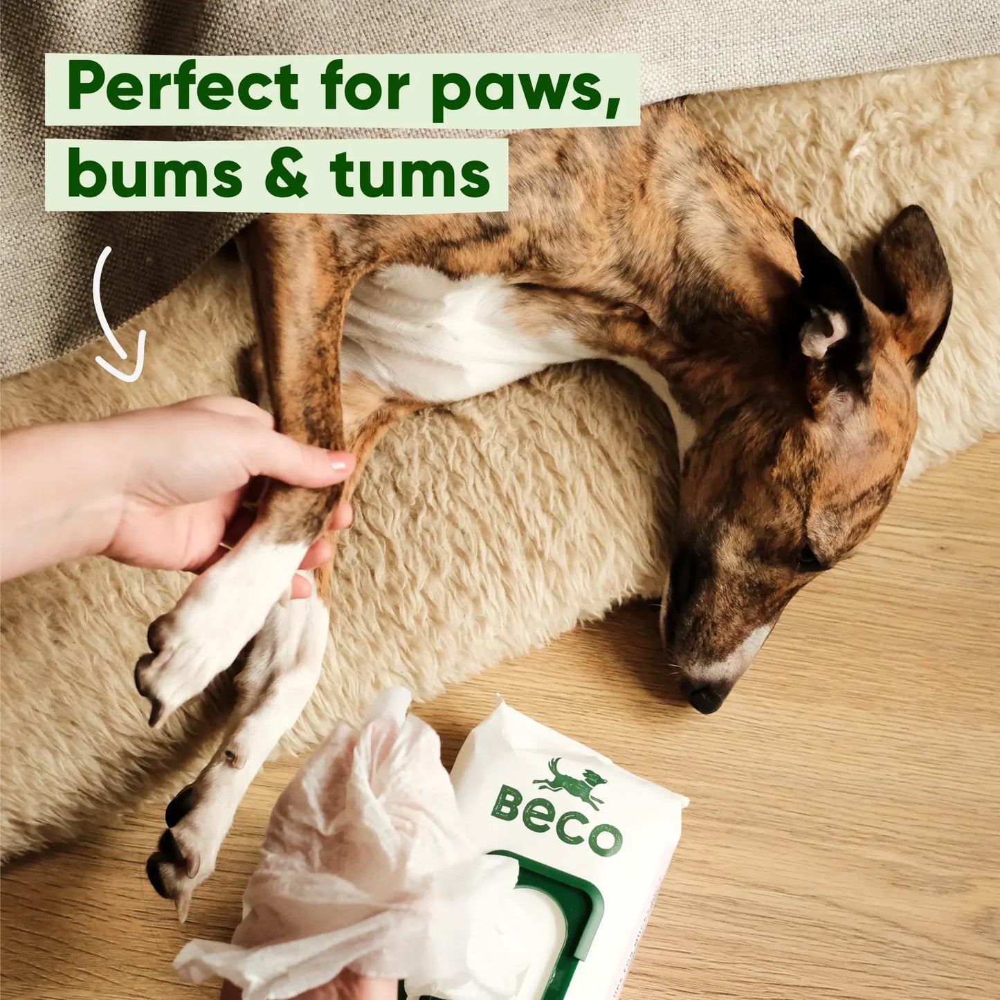 Beco Bamboo Dog Wipes - Unscented 80 Pack