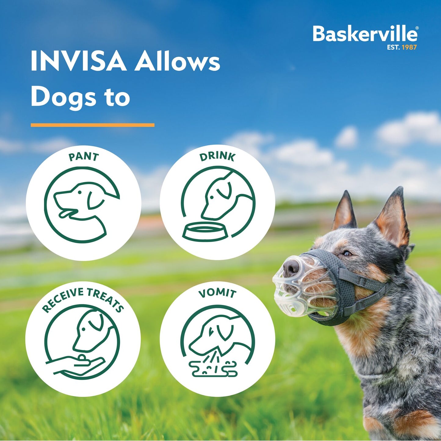 Company of Animals Baskerville INVISA Muzzle