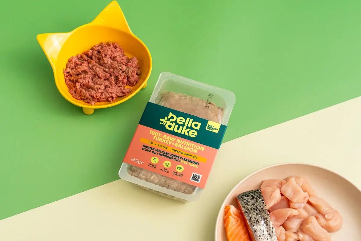 Bella & Duke Cat + Kitten Turkey & Salmon 250g
