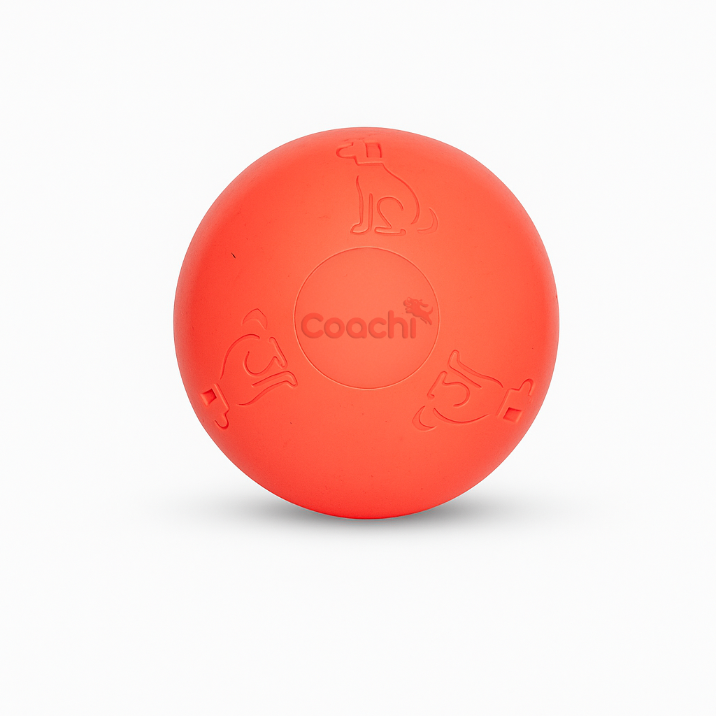CoA Coachi Boomi Ball