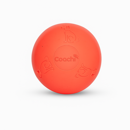 Company of Animals Coachi Boomi Ball