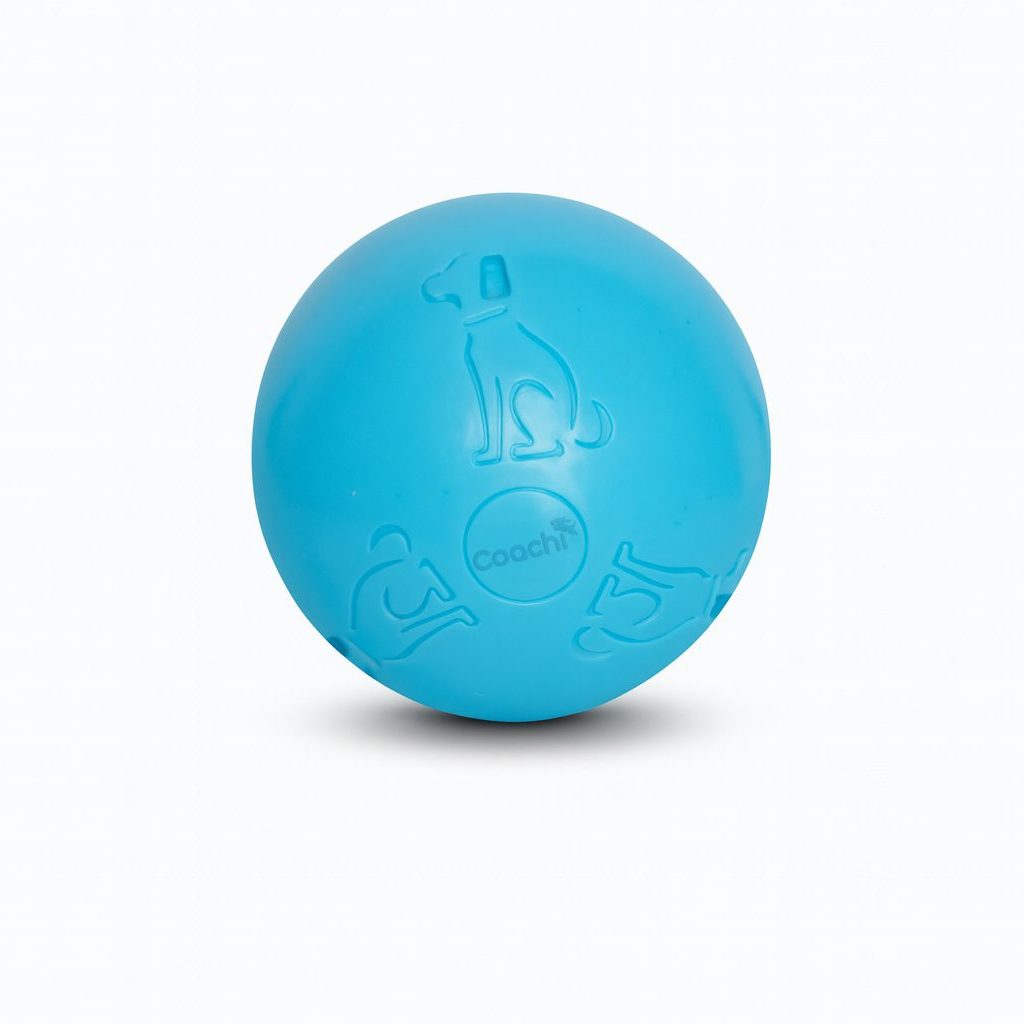 CoA Coachi Boomi Ball