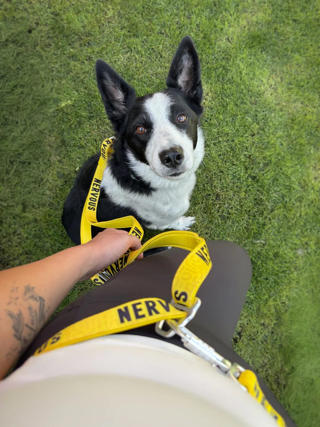 Twiggy Tags Awareness Multiway Lead - Nervous