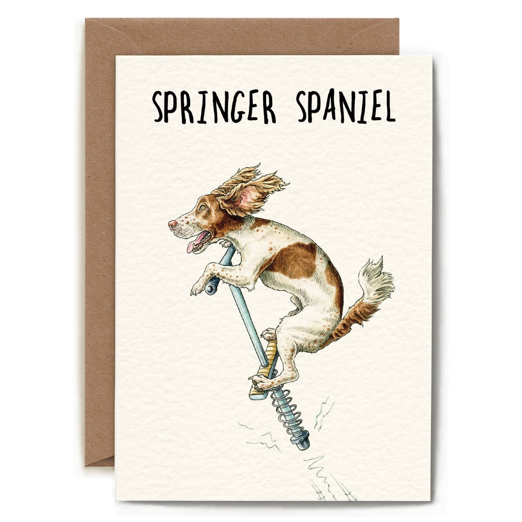 Bewilderbeest - Springer Spaniel Card