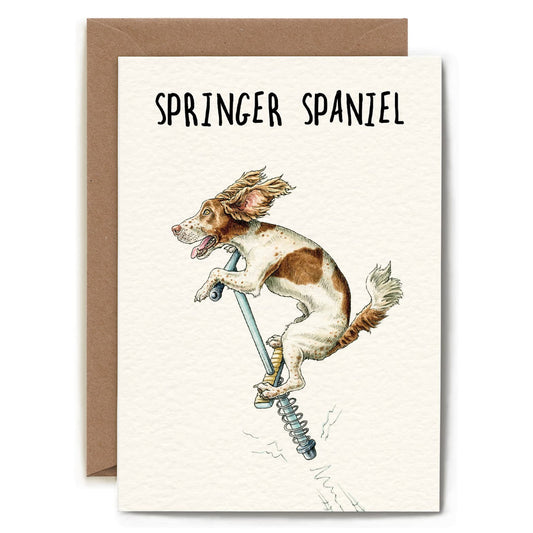 Bewilderbeest - Springer Spaniel Card