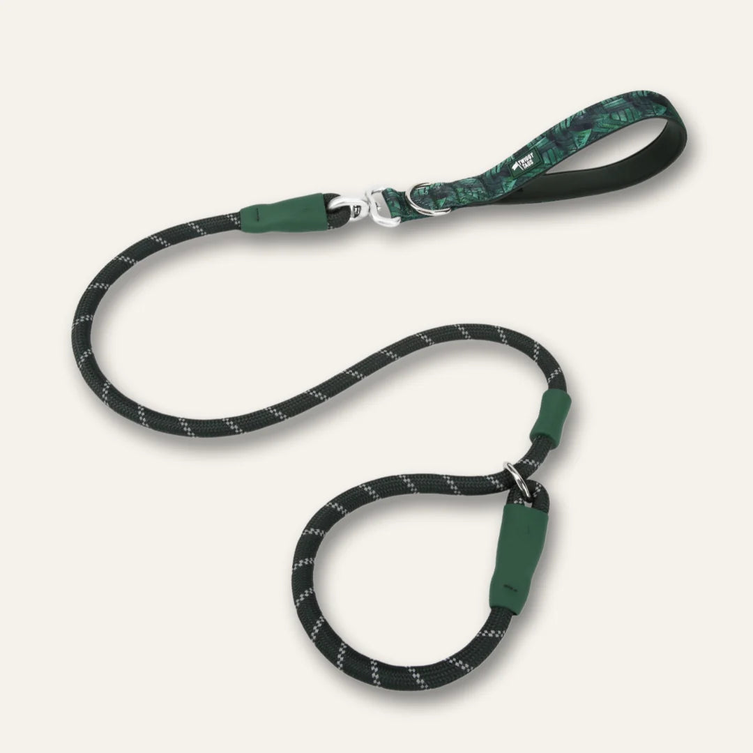 Twiggy Tags Slip Lead 120cm - Canopy