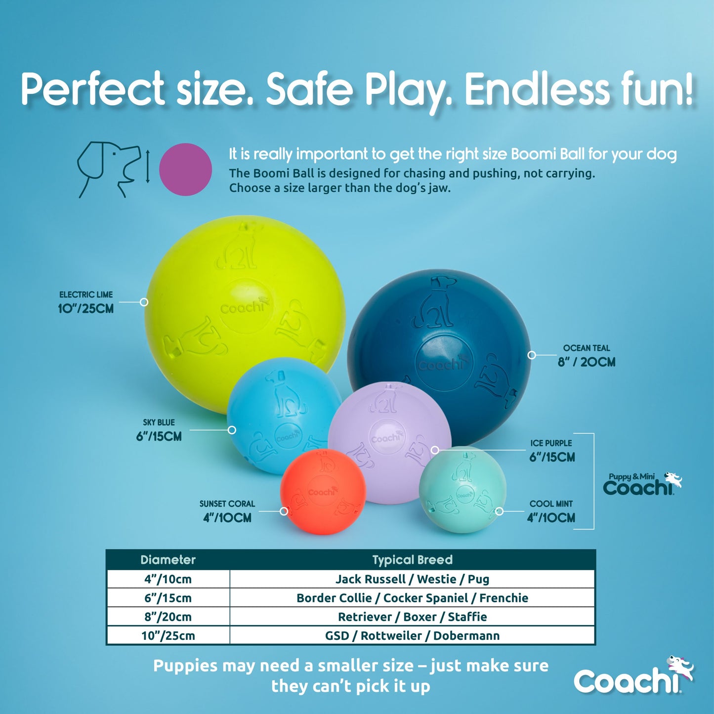 CoA Coachi Boomi Ball