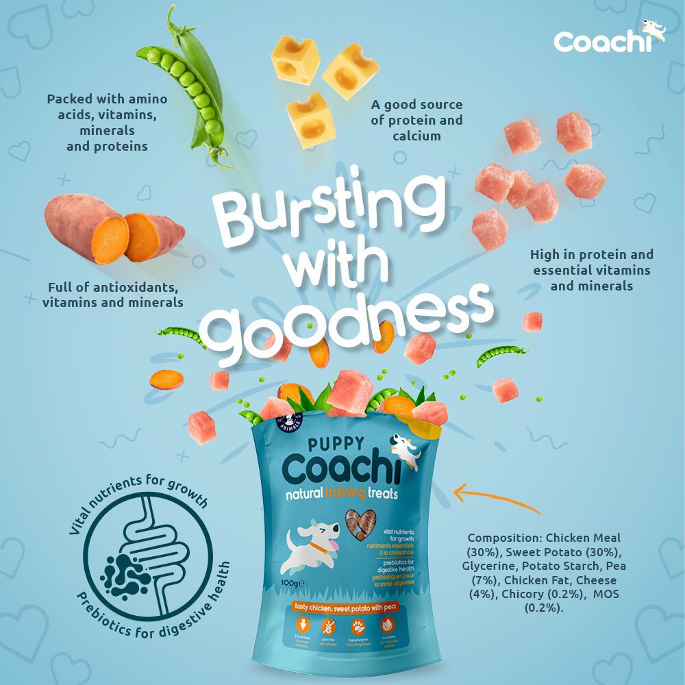 Coachi Puppy Training Treats Chicken 100g
