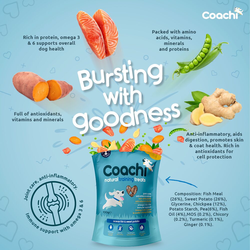 Coachi Natural Training Treats Ocean Fish 100g