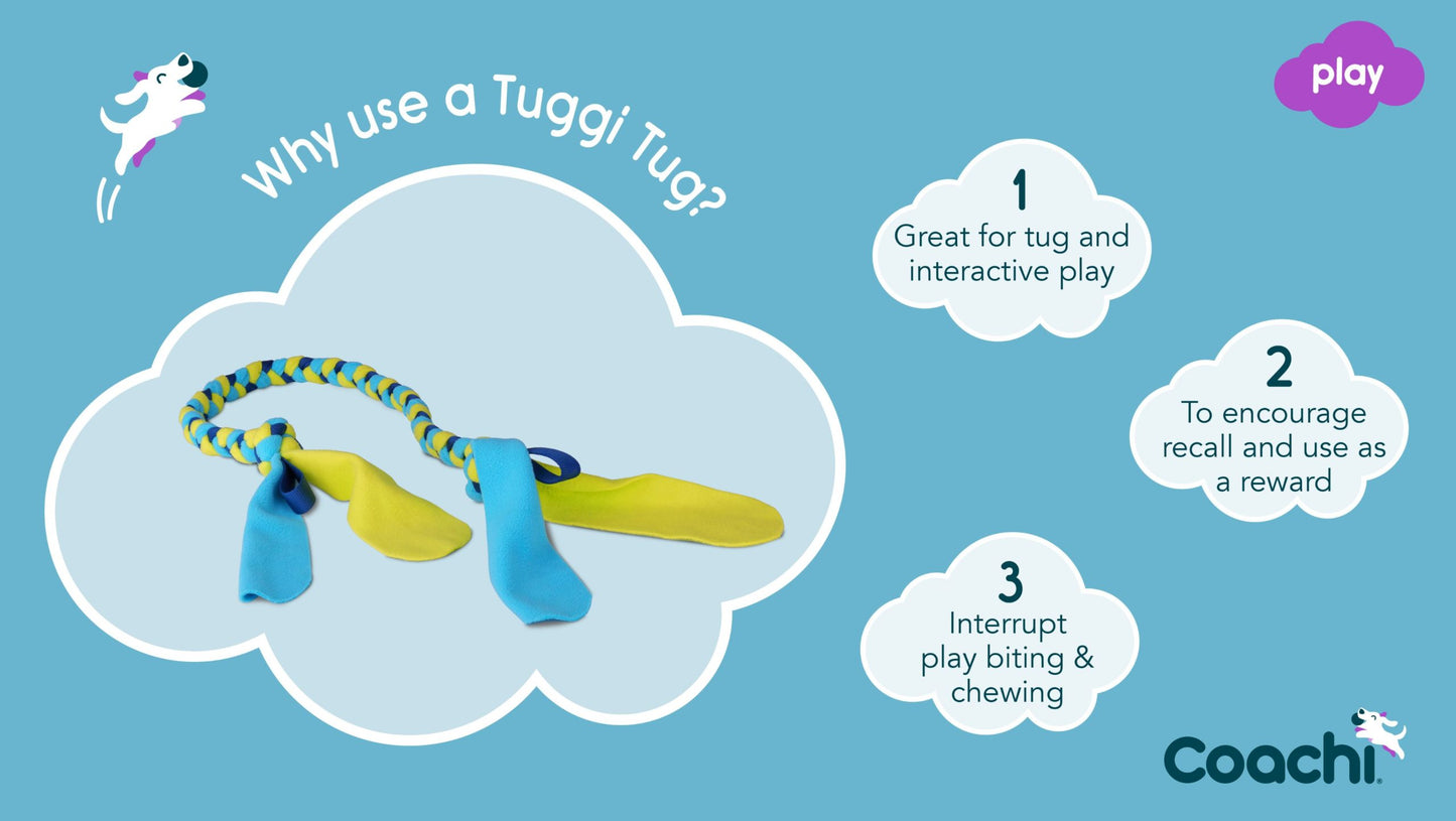 Company of Animals Puppy & Mini Coachi Play Tuggi Tug