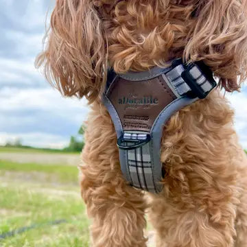 The aDoraBle Pooch Co. Streamline Harness Grey -