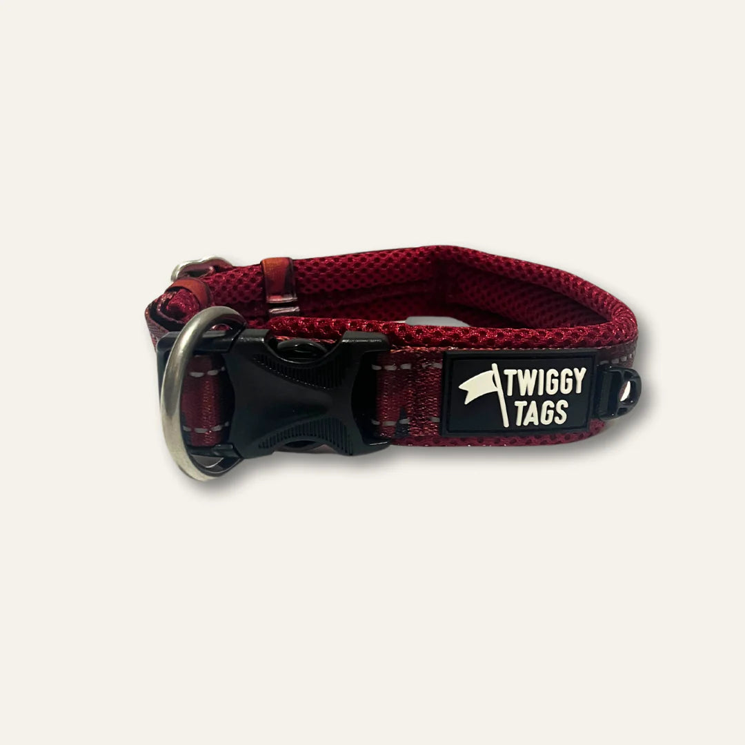 Twiggy Tags Collar Alpen Glow