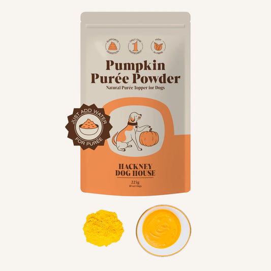 Hackney Pumpkin Puree Powder 225g