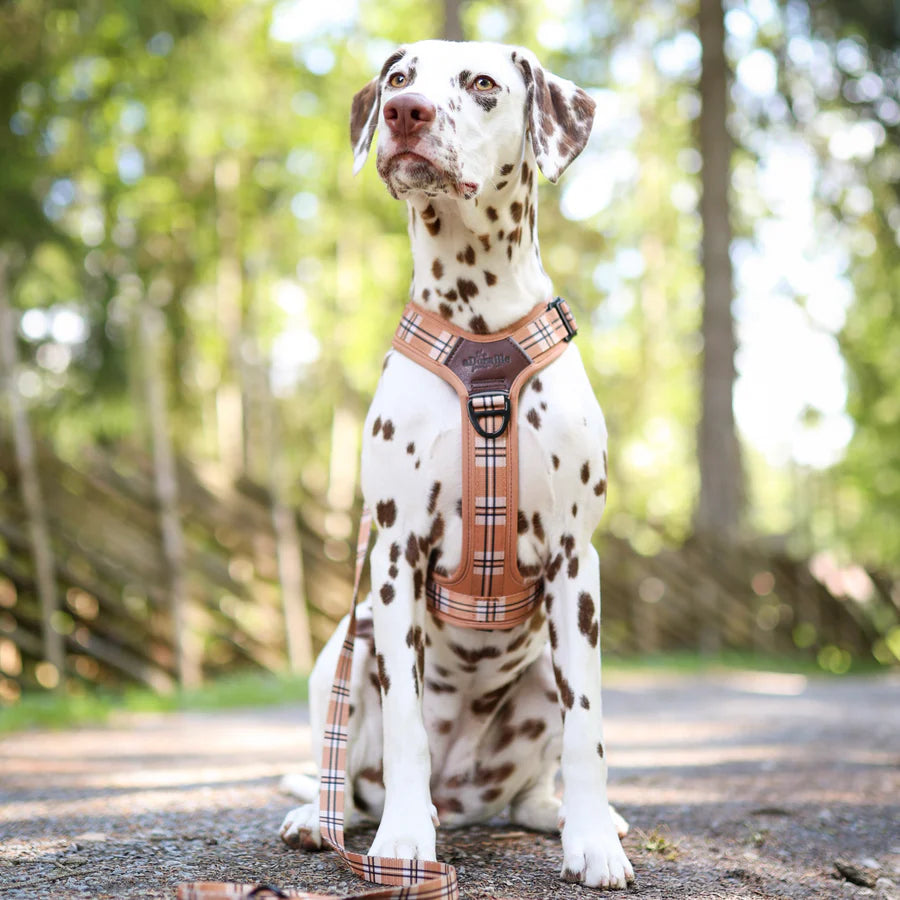 The aDoraBle Pooch Co. Streamline Harness Butterscotch Biscuit