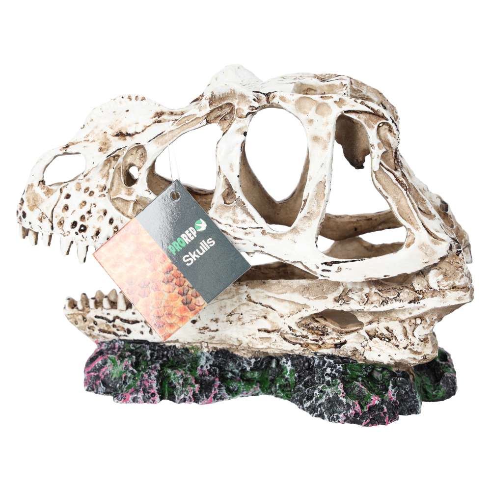 ProRep Ceratosuarus Skull 19x9x14cm
