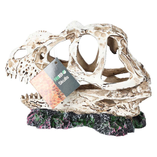 ProRep Ceratosuarus Skull 19x9x14cm