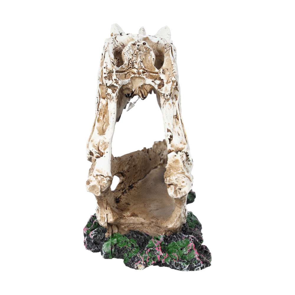 ProRep Ceratosuarus Skull 19x9x14cm