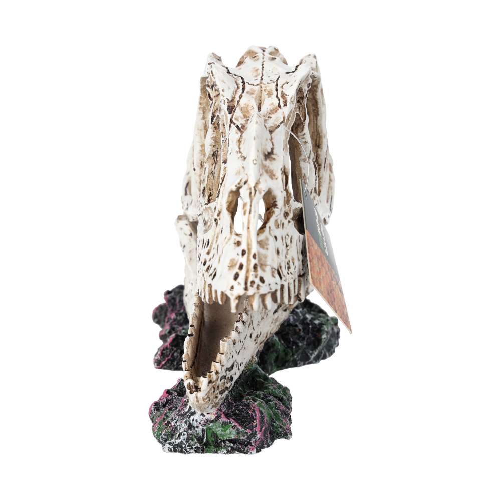 ProRep Ceratosuarus Skull 19x9x14cm