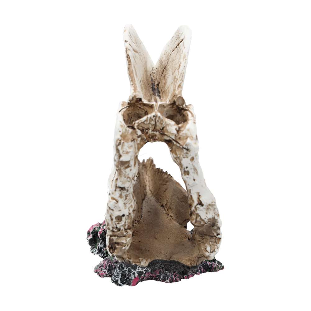 ProRep Dilophosaurus Skull