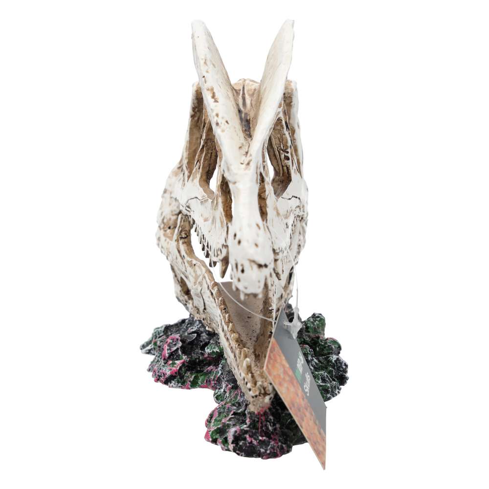 ProRep Dilophosaurus Skull