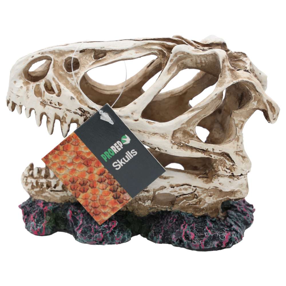 ProRep Allosaurus Skull