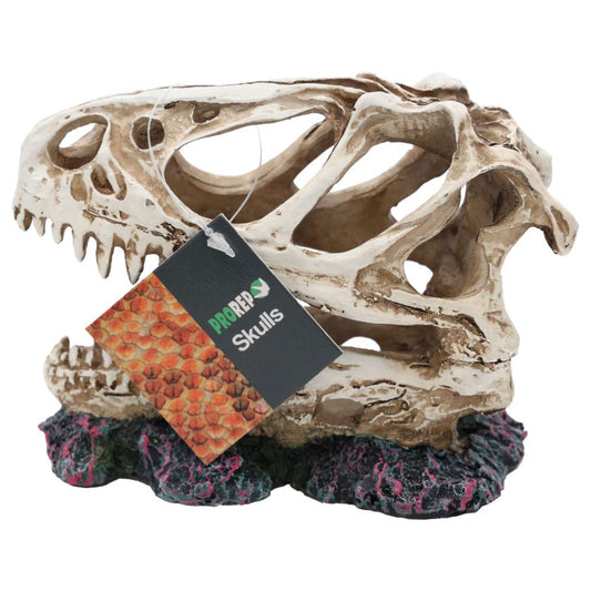 ProRep Allosaurus Skull