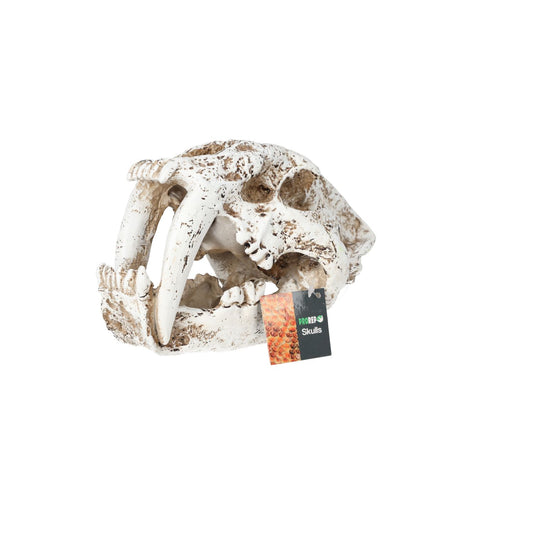 ProRep Smilodon Skull - Large