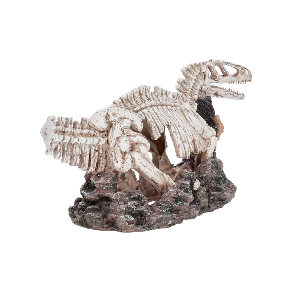 ProRep Dinosaur Skeleton Allosaurus