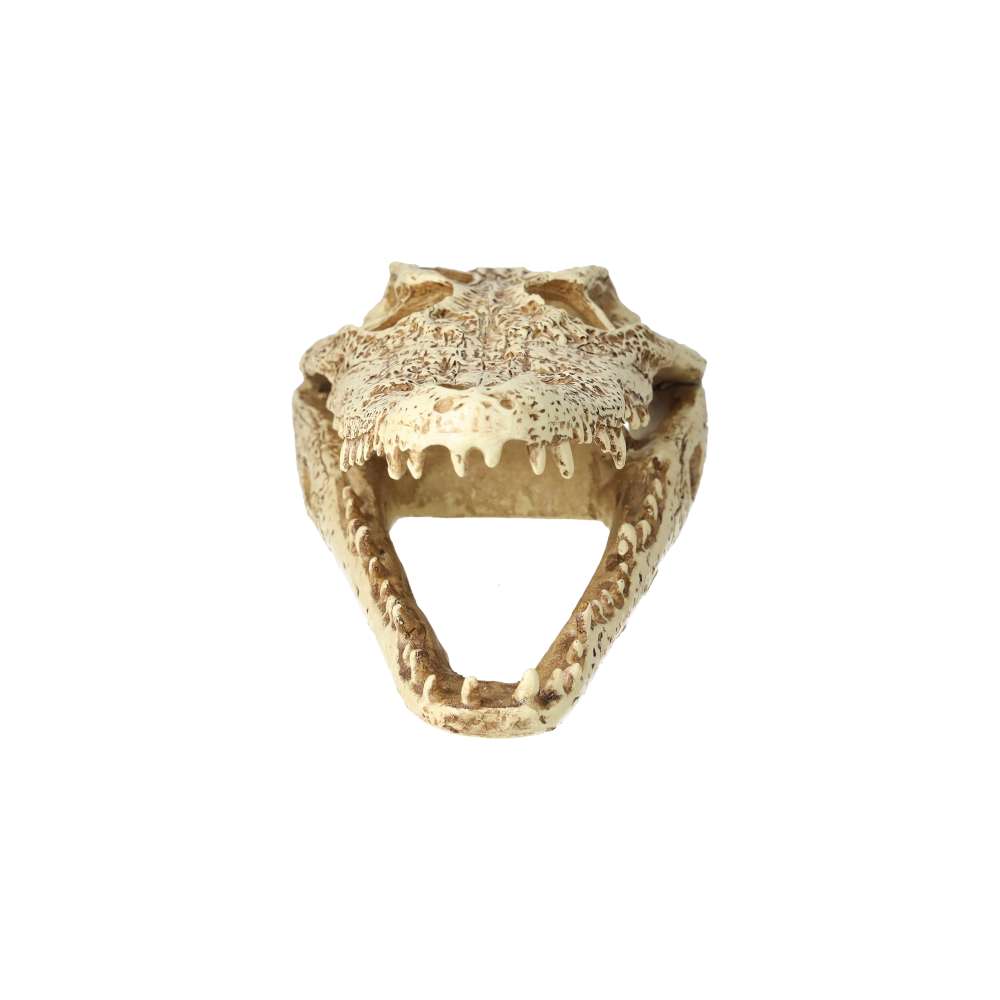 ProRep Crocodile Skull 24×11.5x9cm
