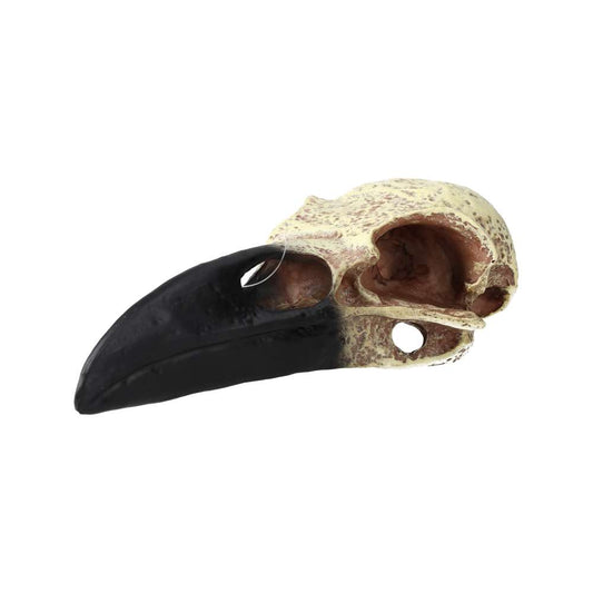 ProRep Corvid Skull