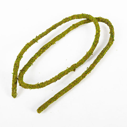 ReptiZoo Bend-A-Branch Natural Moss Vine 200cm