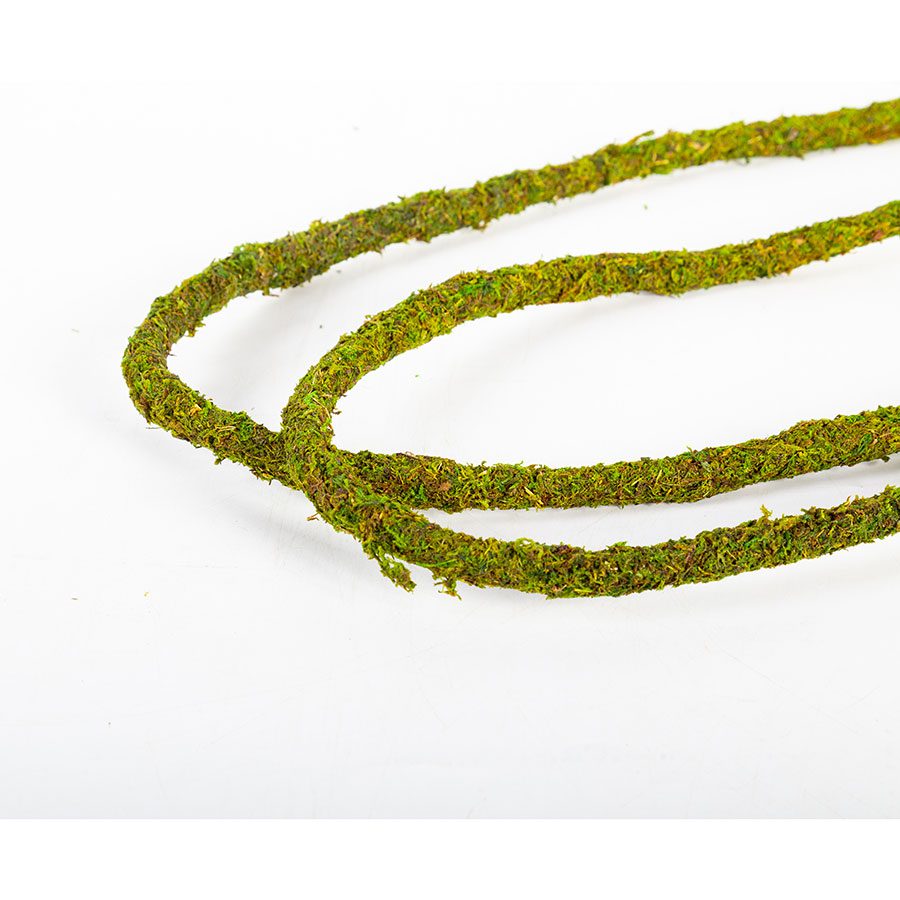 ReptiZoo Bend-A-Branch Natural Moss Vine 200cm