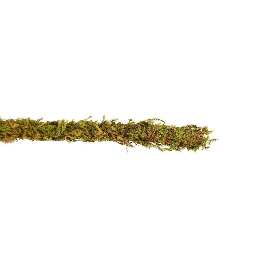 ReptiZoo Bend-A-Branch Natural Moss Vine 200cm
