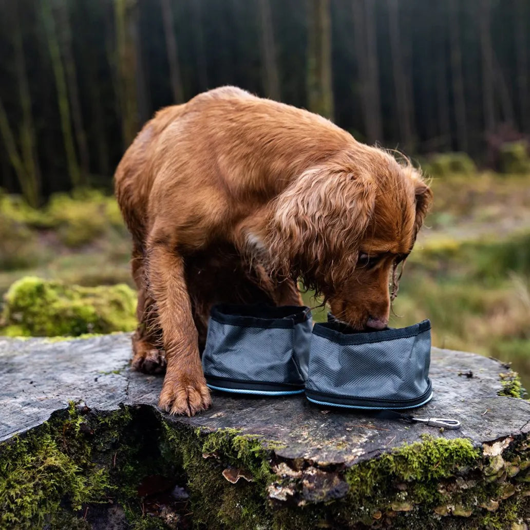 Henry Wag Snaffle Pack