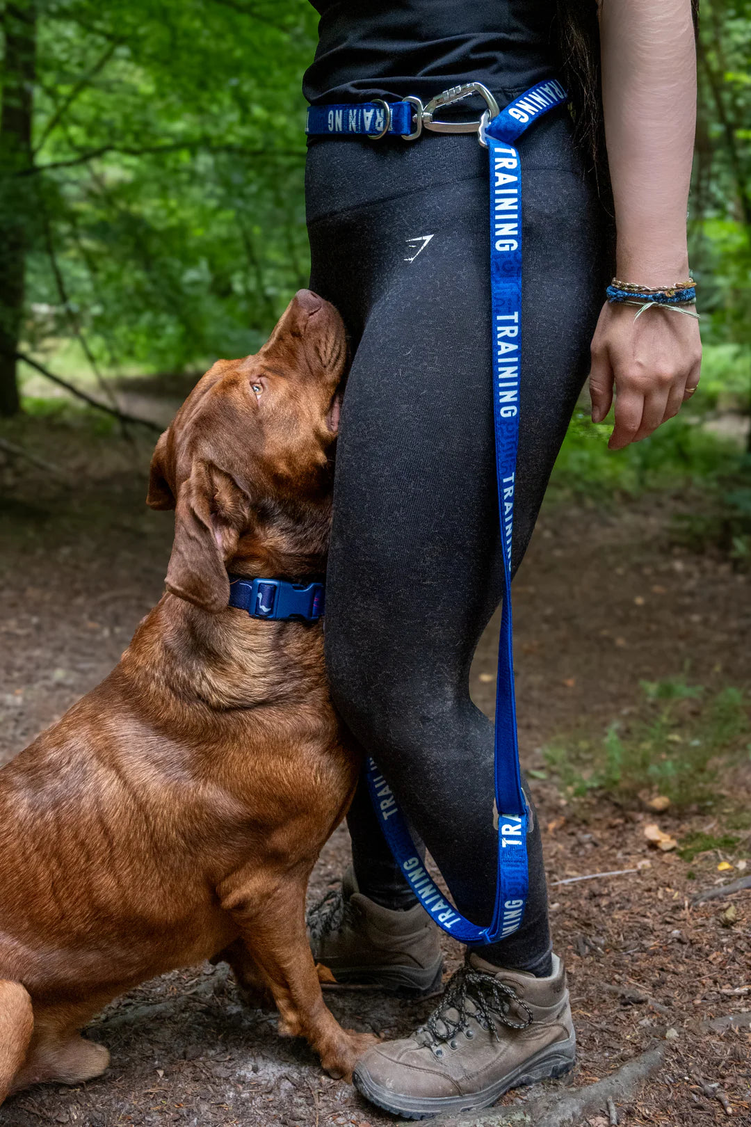 Twiggy Tags Awareness Multiway Lead - Training