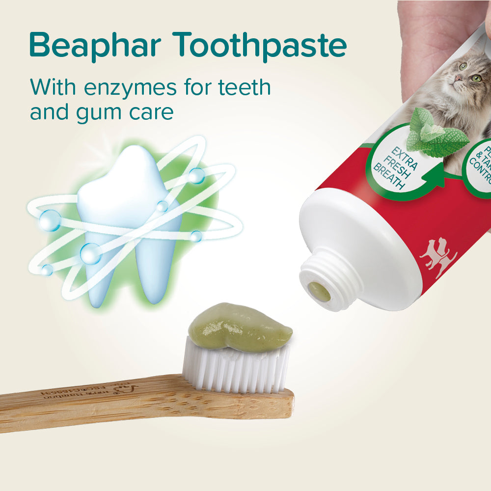Beaphar Toothpaste Mint & Parsley 100g