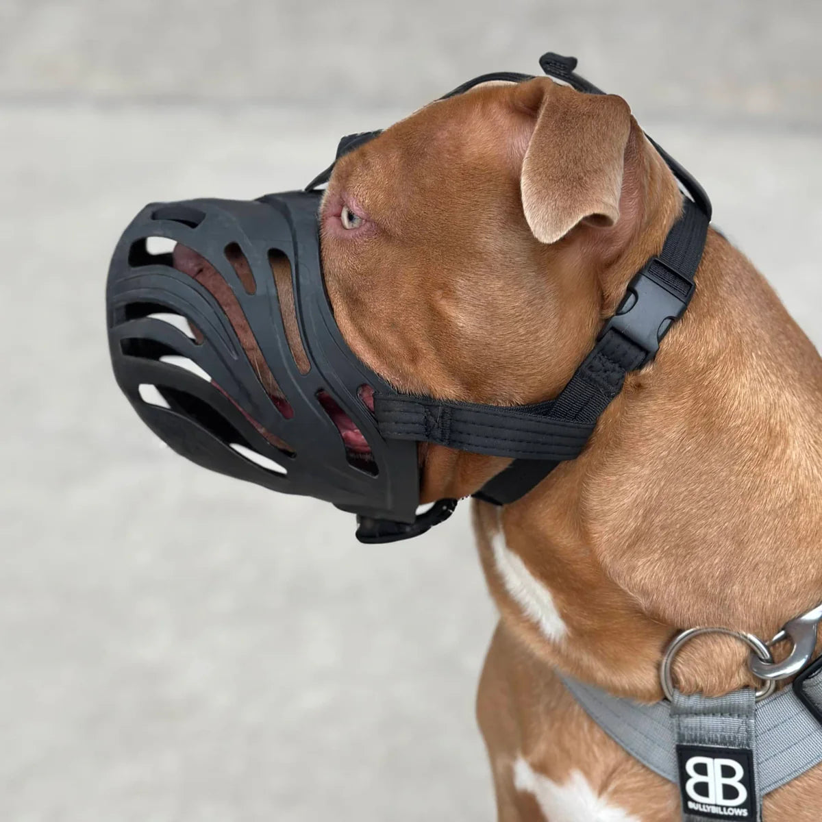 BullyBillows Flexible Safety Muzzle