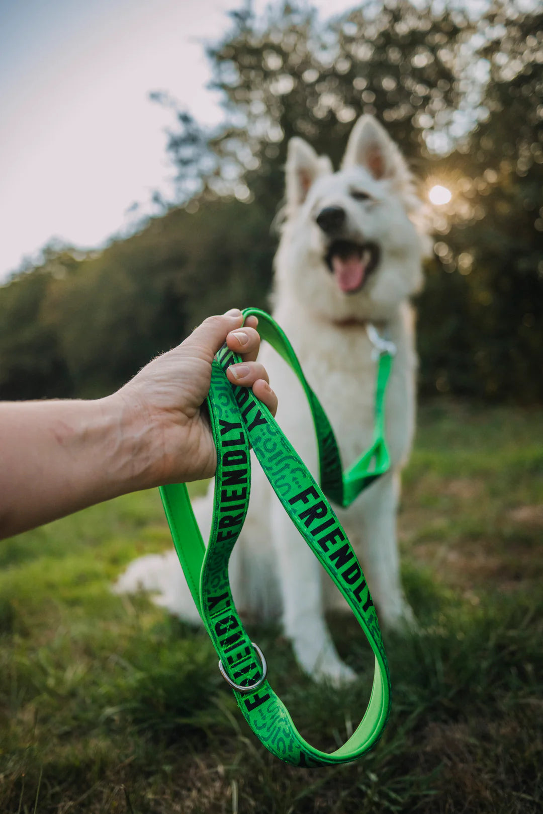 Twiggy Tags Awareness Lead - Friendly