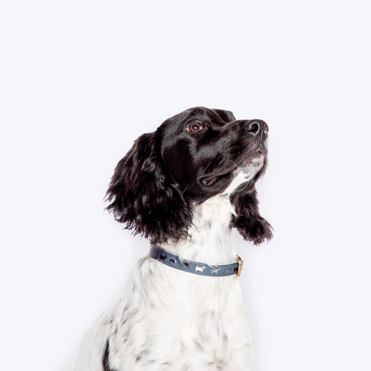 FatFace Marching Dogs Collar Large