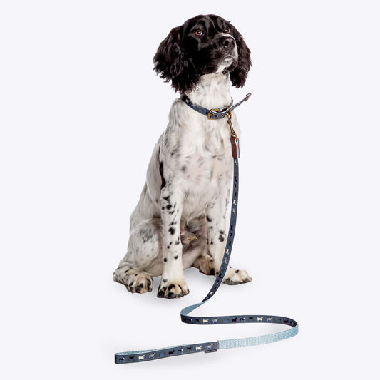 FatFace Marching Dogs Lead Medium