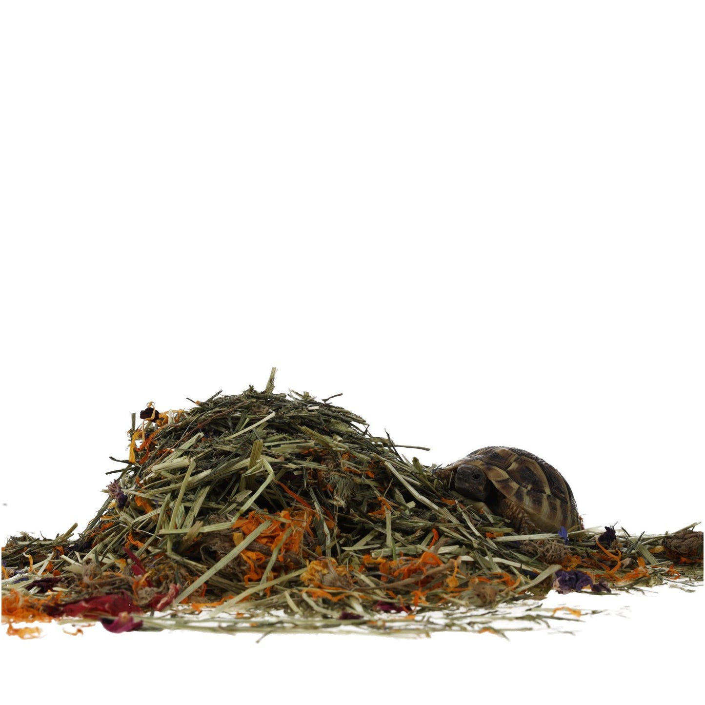 ProRep Tortoise Flower Foraging Tray 70g