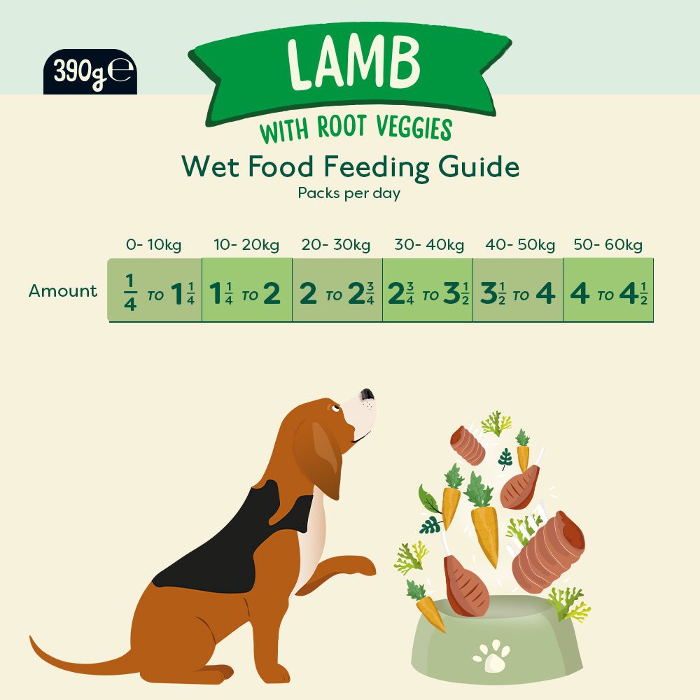 Naturediet Grain Free Lamb 390g