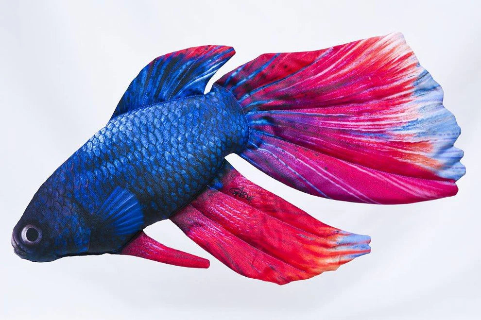 Gaby Fish The Siamese Fighting Fish - 53cm