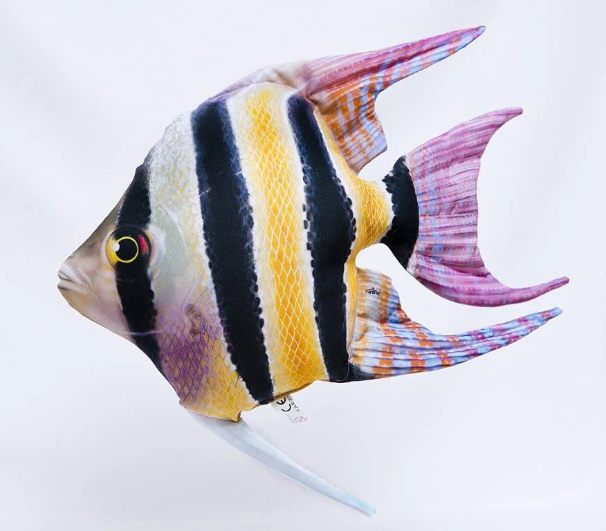 Gaby Fish The Freshwater Angelfish - 51cm