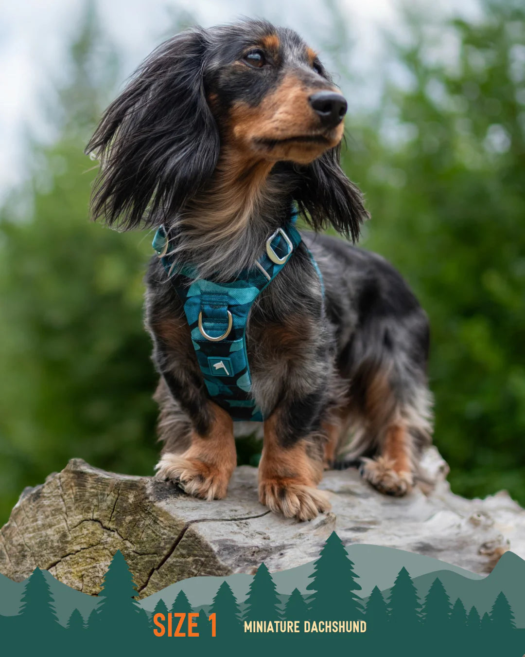 Twiggy Tags Adventure Harness 2.0 Lagoon