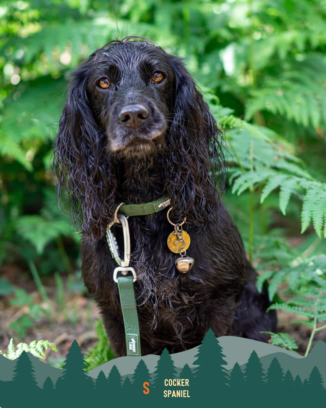 Twiggy Tags Tidal Collar - Fern