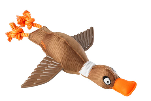 House of Paws Duck Thrower with TPR Wings - Coco