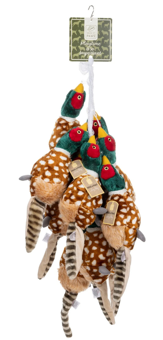 House of Paws Pheasant Dog Toy