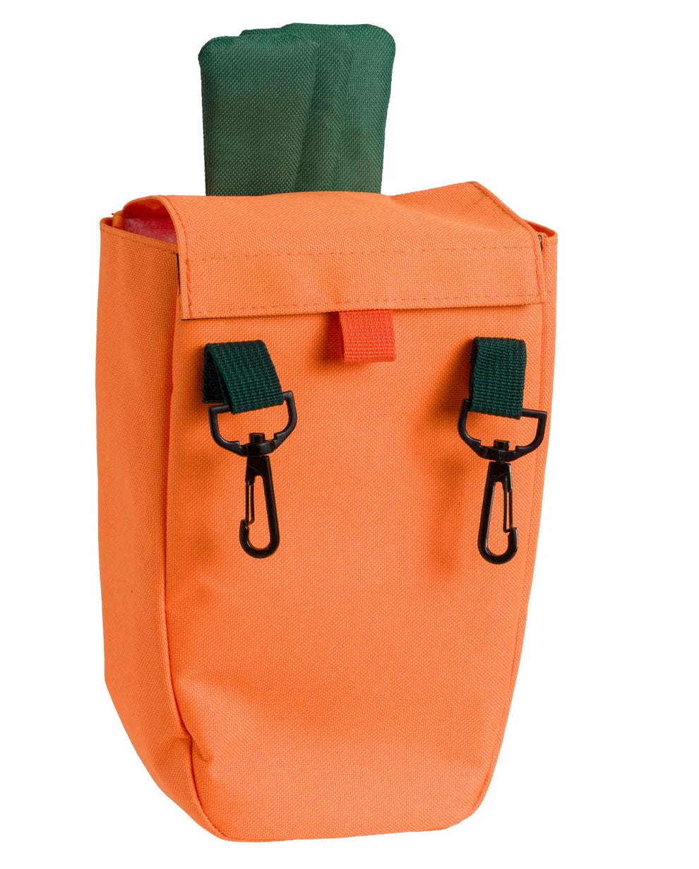 House of Paws Carrot Hay Bag Feeder